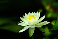迷宮への扉・睡