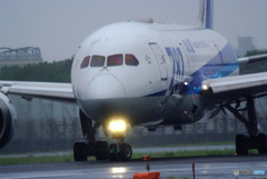 September STAR・JA824A