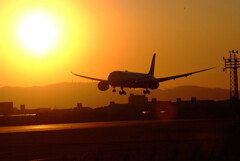 SKYLANDの艶✿Boieg787-8