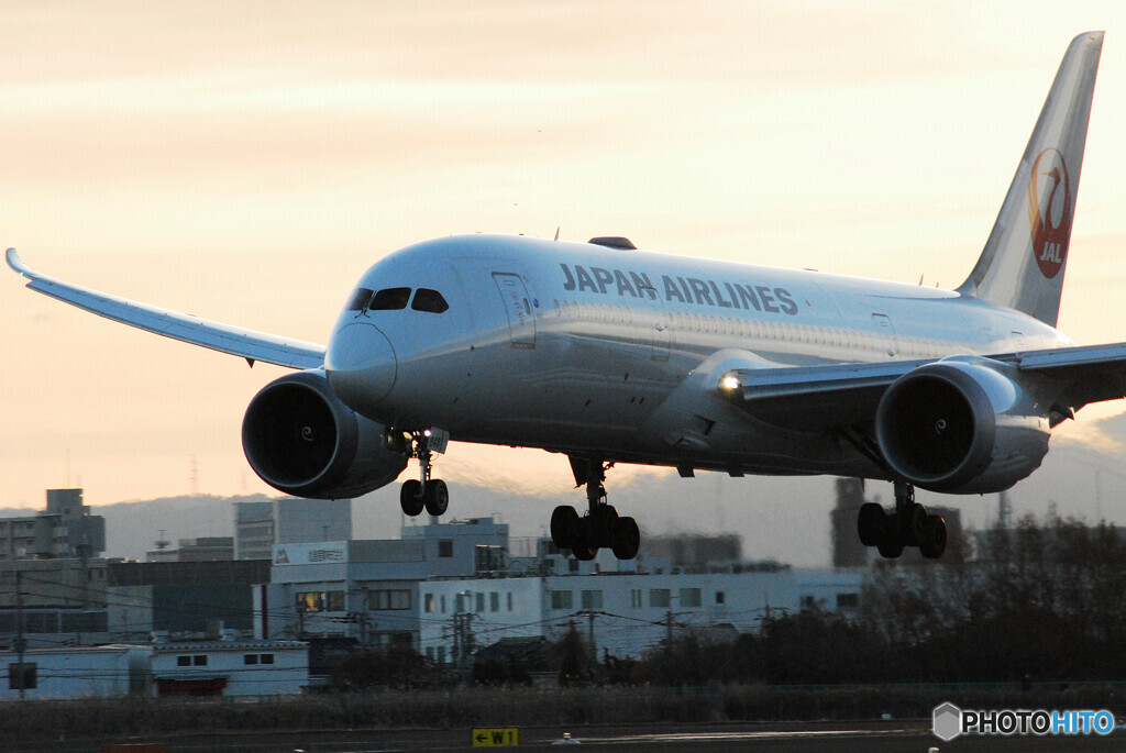 JAL Boeing 787-8 Dreamliner✈2023