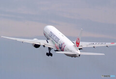 Go to Travel✈JA773J