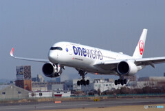 New Face春✈JA15XJ