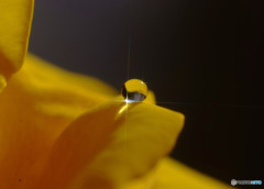 心の十字架・雫