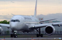 Delusional tripⅡGW✈JA03XJ