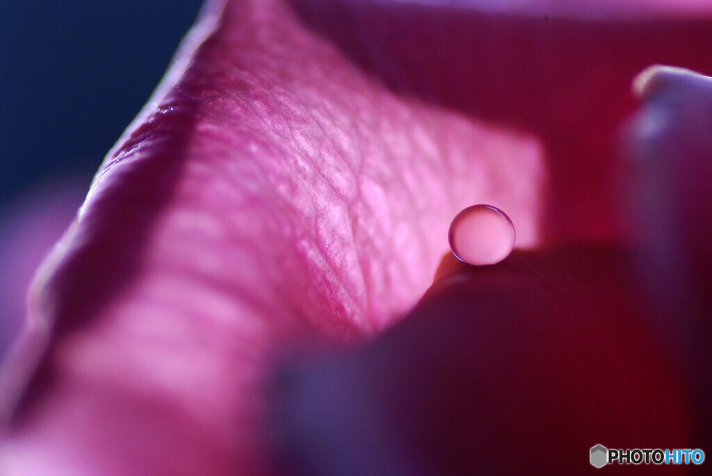 誘惑のひとみ✿艶