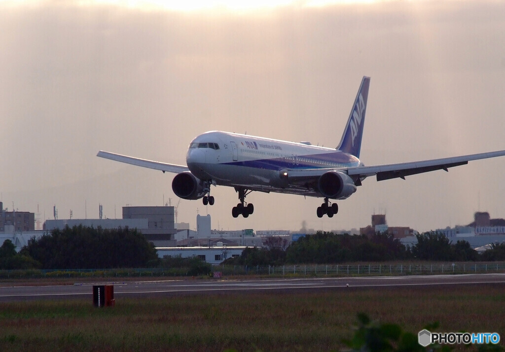 Reborn✈日本の翼