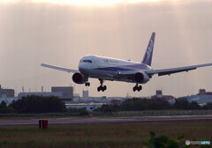 Reborn✈日本の翼