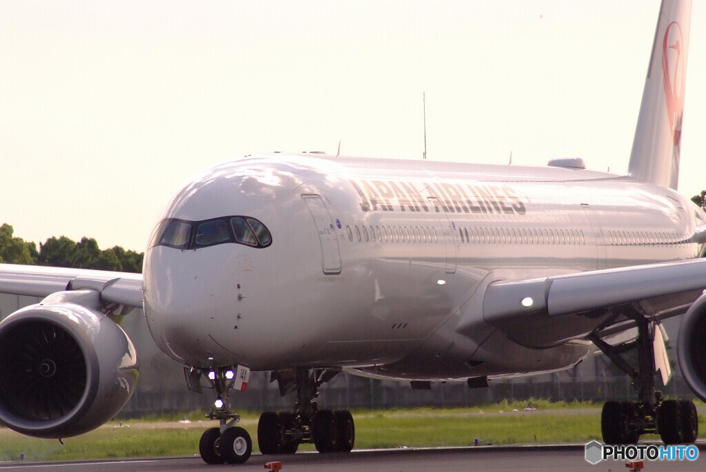 Monday morning✈JA14XJ