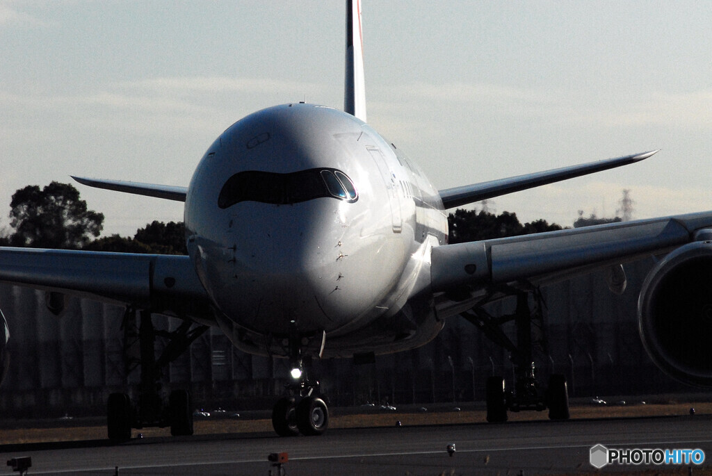 Morning of the 24thⅦ✈AirBus350-900