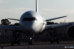 Morning of the 24thⅦ✈AirBus350-900