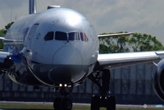 未来への翼Ⅱ・787