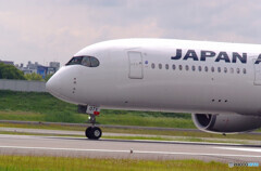 ITMの空へ✈A350-900