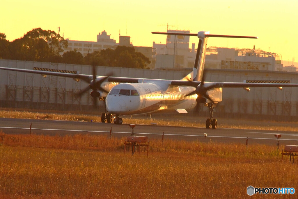 俺の朝✈Bombardier DHC-8-400
