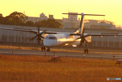 俺の朝✈Bombardier DHC-8-400