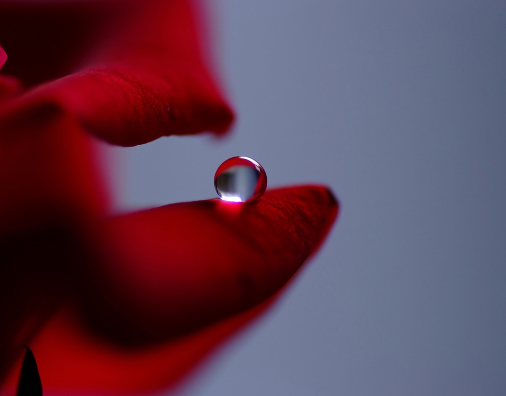 長月の惑星（Ⅱ）・雫