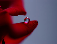 長月の惑星（Ⅱ）・雫