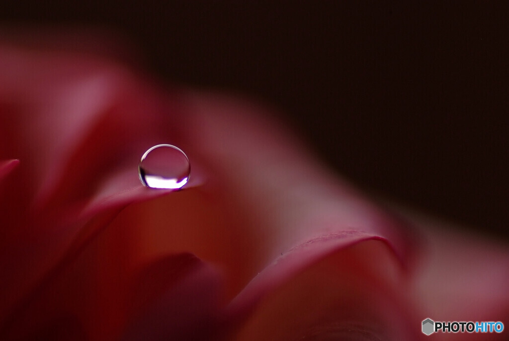 赤い運命✿雫
