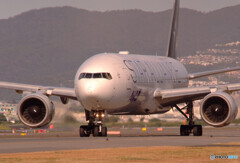 November Morning✈777