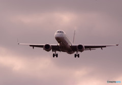 Morning BirdⅤ・Embraer