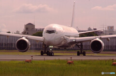 Autumn wingsⅡ✈JA08XJ