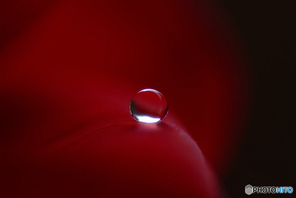 雫に願いを・和