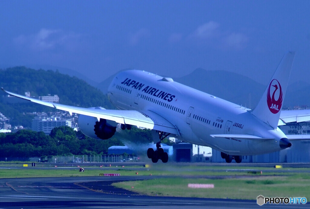 蒼の空へ✈787-8