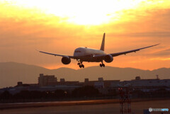 2022飛翔✈787Dreamliner