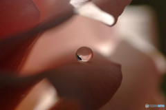 瞳そらさないで 