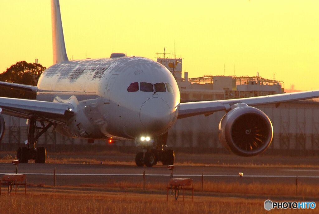 2021旅立ちの朝✈Dreamliner