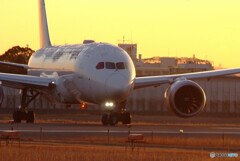 2021旅立ちの朝✈Dreamliner