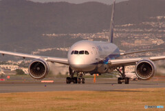 November Morning✈787