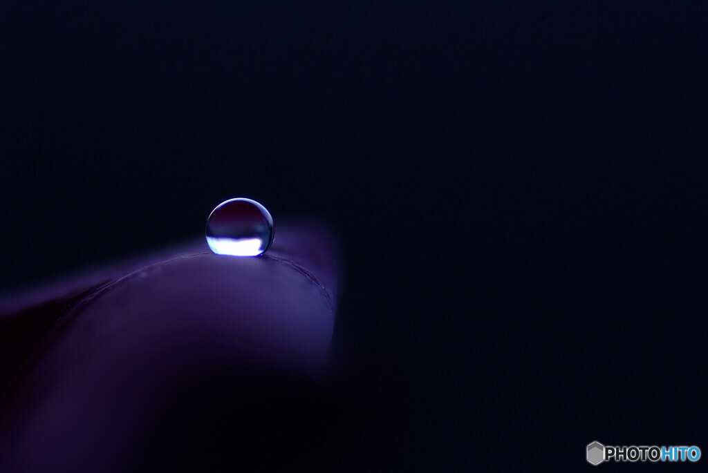 君の瞳にLock on❁華