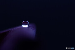 君の瞳にLock on❁華