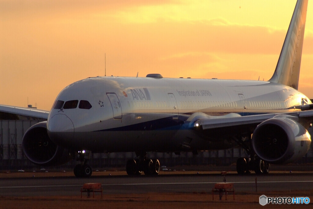 Morning Glow☆Boeing 787-9