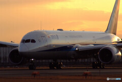 Morning Glow☆Boeing 787-9
