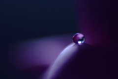 衣更月の時✿雫