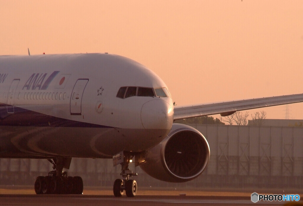 Happy Wednesday✈ANA