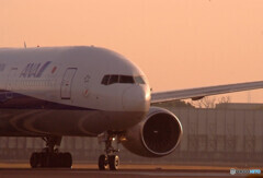 Happy Wednesday✈ANA