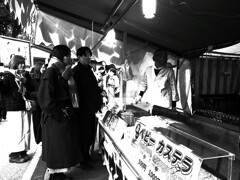 初詣2026✿松尾大社