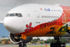 Thank you Captain✈