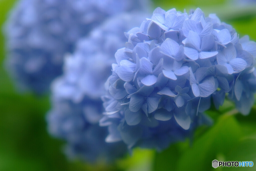 水無月の詩✿2021