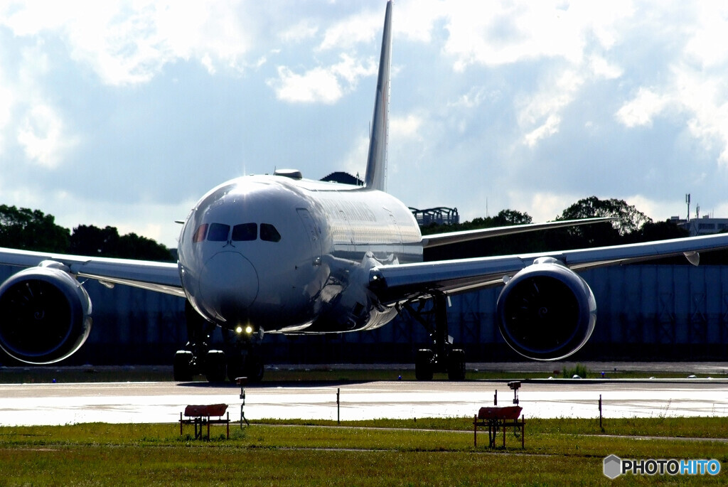 April TravelerⅨ✈JAL787-8