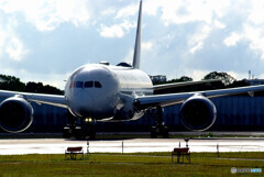 April TravelerⅨ✈JAL787-8