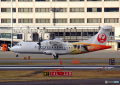 歓喜の舞・コウノトリ