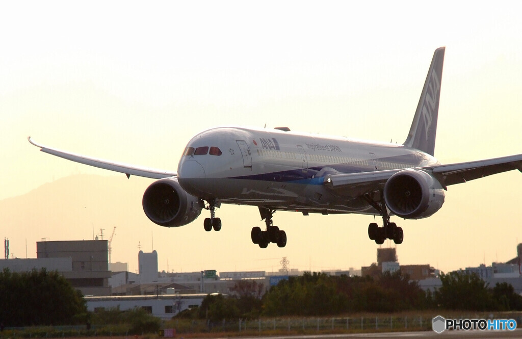 11月の空✈Boeing 787-9 Dreamliner 