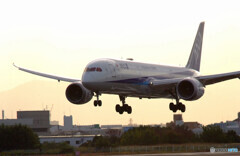 11月の空✈Boeing 787-9 Dreamliner 