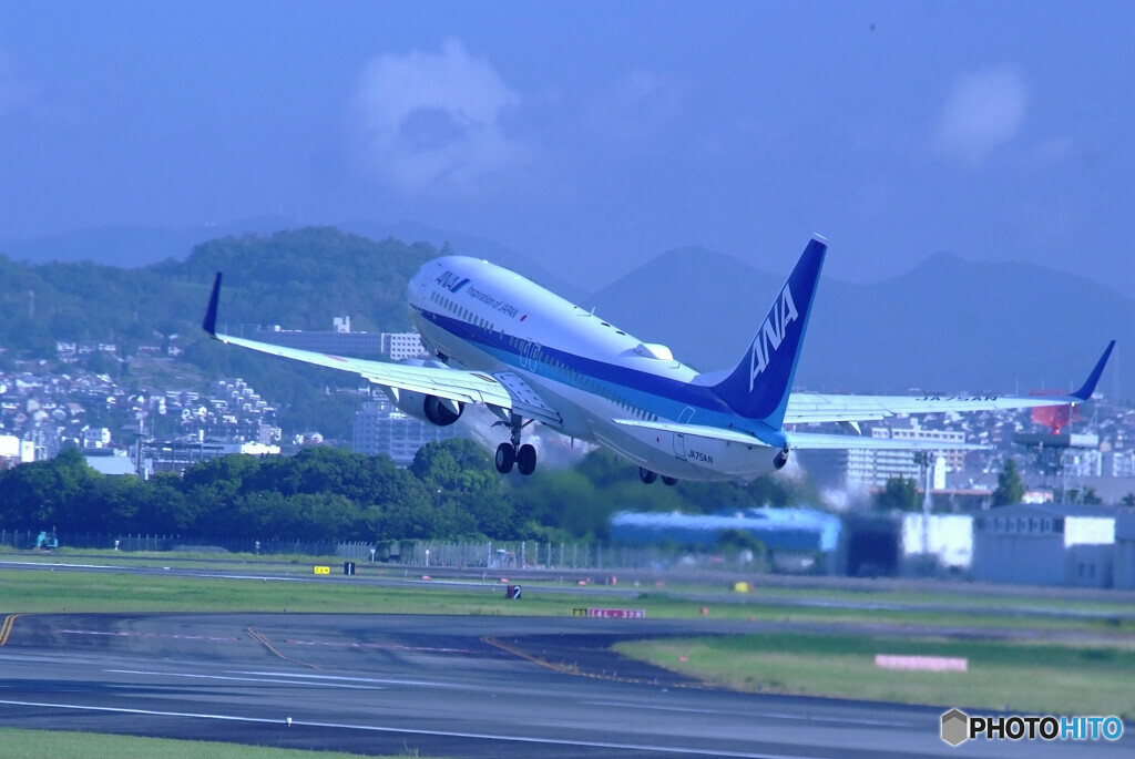 夏の日の2020✈Wing