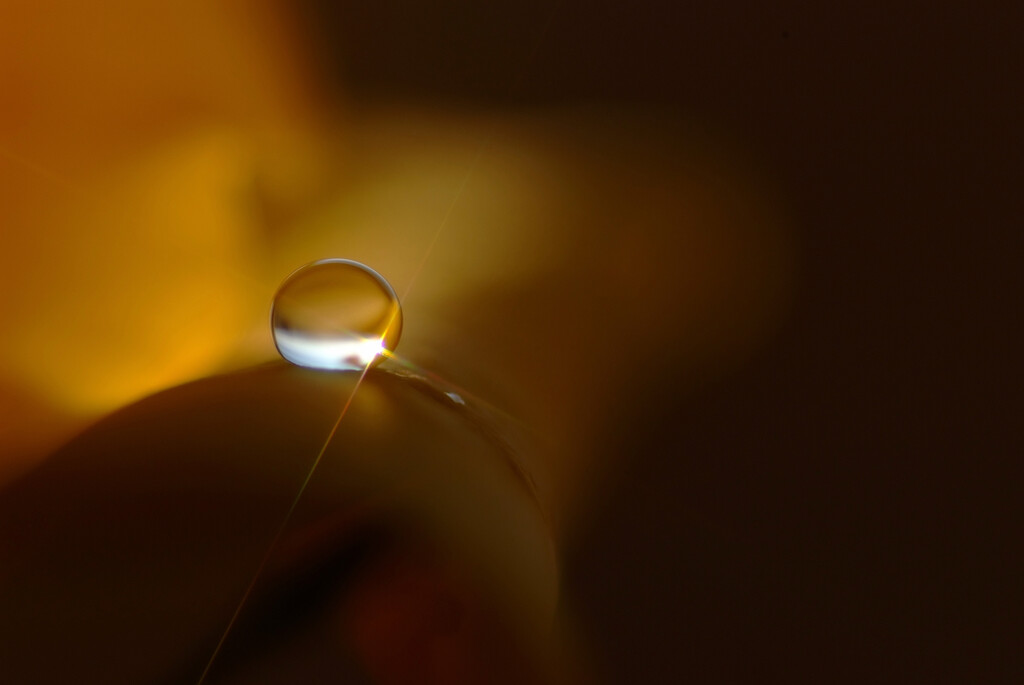 心静か✿睦月の灯