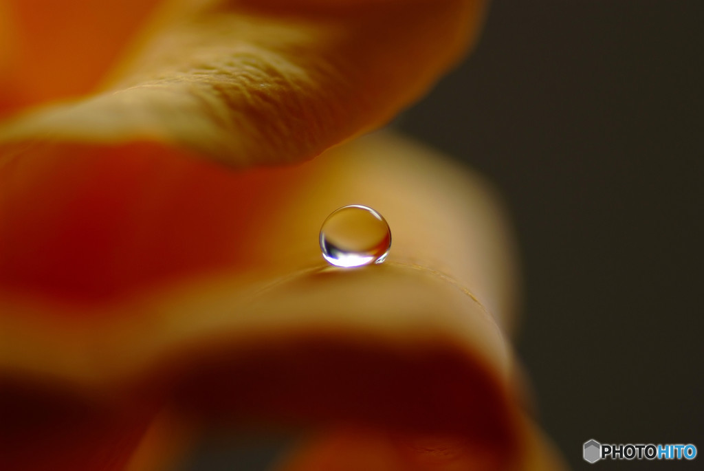 明日への扉・祝