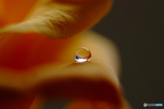 明日への扉・祝